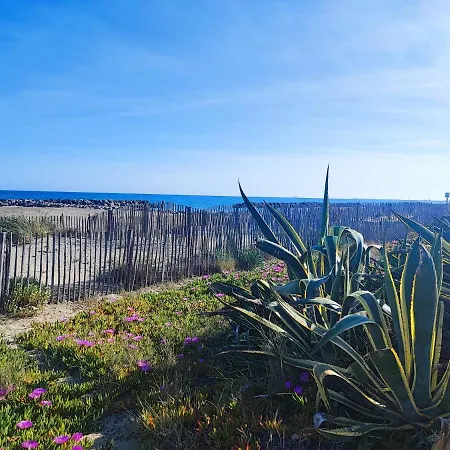 Appartamento La Perle Bleue, 100 M De La Plage, Parking, Wifi Frontignan