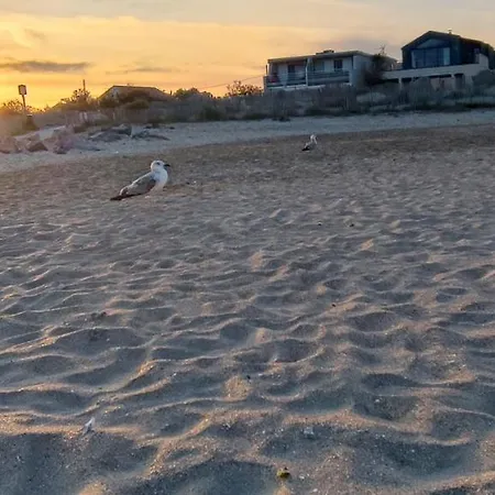 La Perle Bleue, 100 M De La Plage, Parking, Wifi *