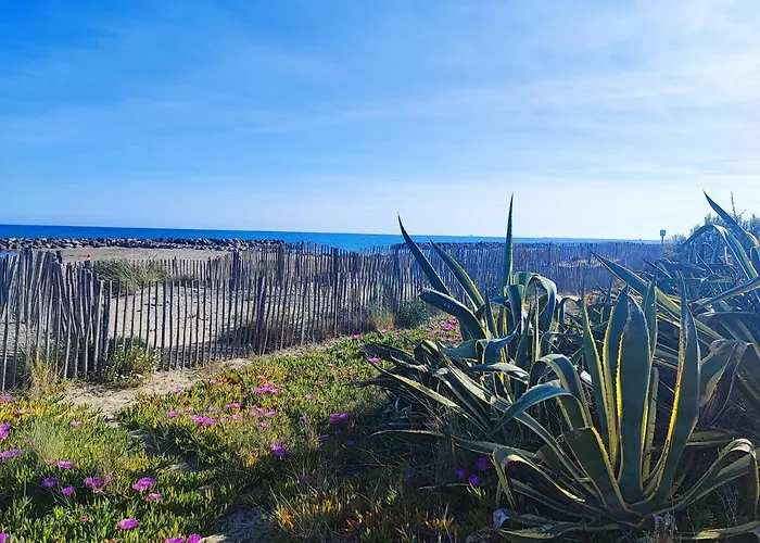 Appartamento La Perle Bleue, 100 M De La Plage, Parking, Wifi Frontignan