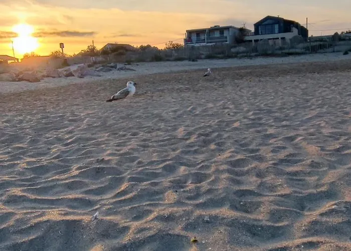 La Perle Bleue, 100 M De La Plage, Parking, Wifi *